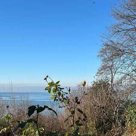 Panorama Region Montreux